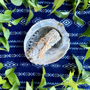 Fehér zsálya - Salvia apiana - Image 2