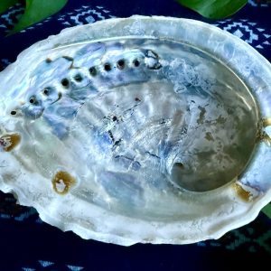 Abalone kagyló - Image 4